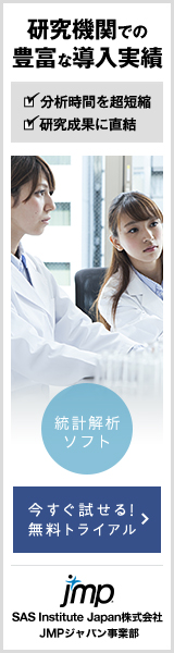 SAS Institute Japan